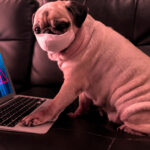 Cybersecurity workplace habits in Atlanta